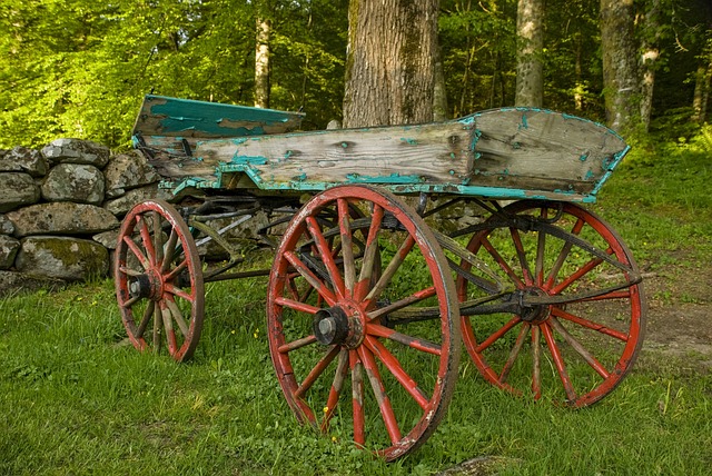 cart-1896078_640